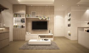 home improvement