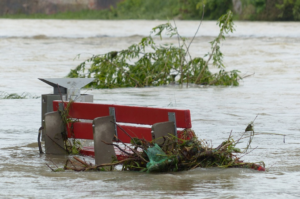 debris